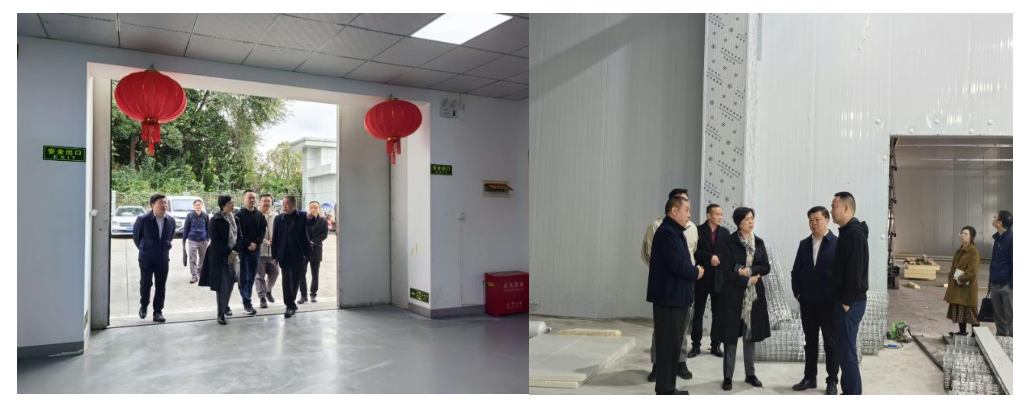 1732004716819783.png 1732004684018.png